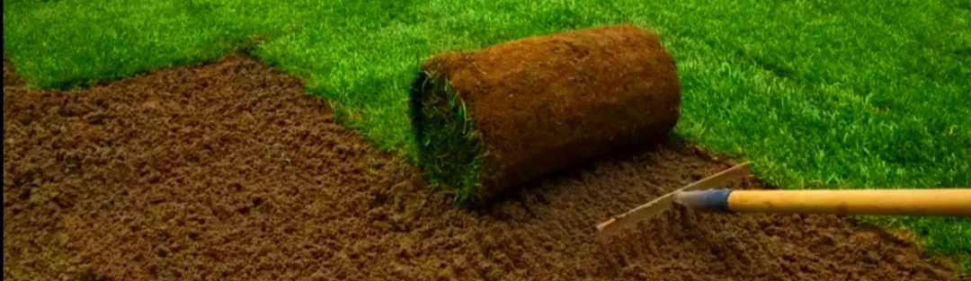 Garten und Landschaftsbau Schneider / Gartenbau Schneider /Galabau